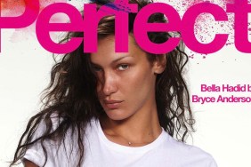 Perfect Magazine #6 2024 : Bella Hadid by Bryce Anderson