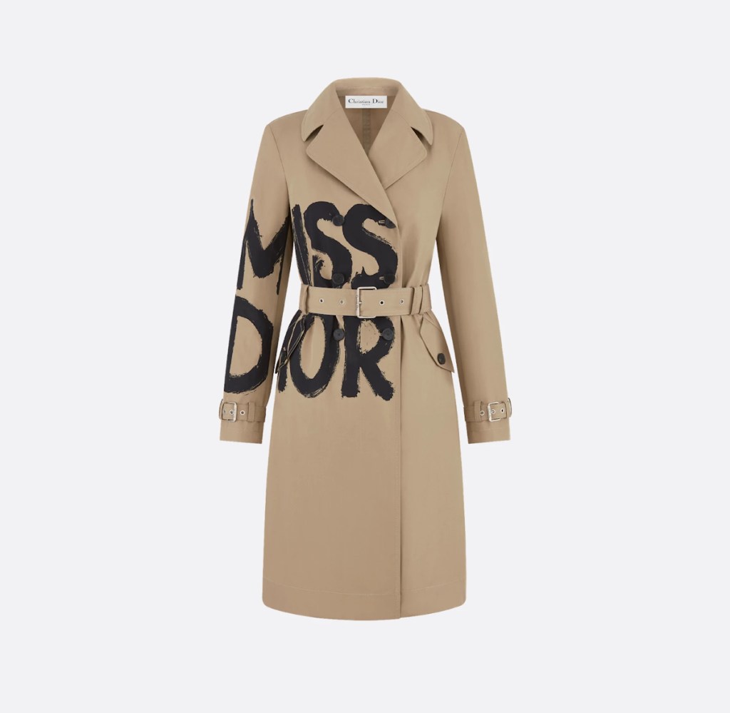 Shop theFashionSpot's Top Picks From the Christian Dior Fall 2024 Collection