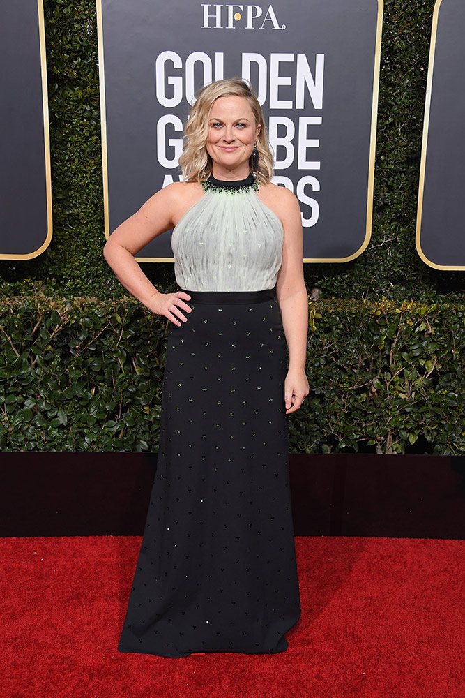 Amy Poehler