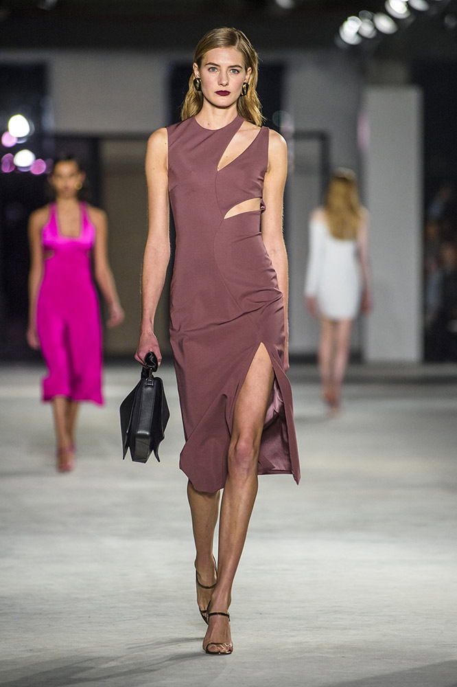 Cushnie et Ochs Fall 2018 #13