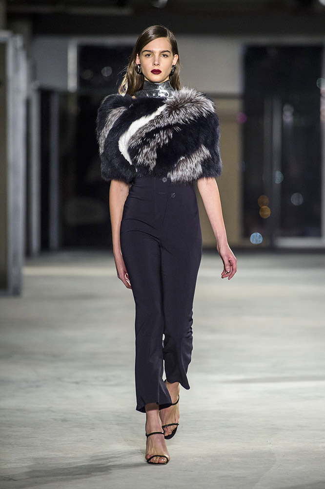 Cushnie et Ochs Fall 2018 #28