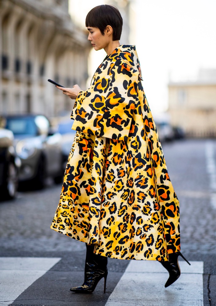 Fierce Animal Prints