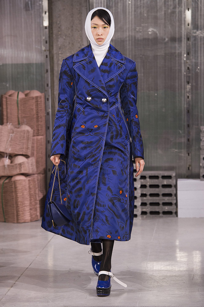 Marni Fall 2018 #31