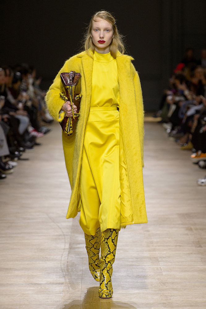 Rochas Fall 2018 #31