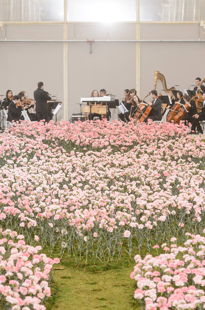 Tory Burch Fall 2018 #2