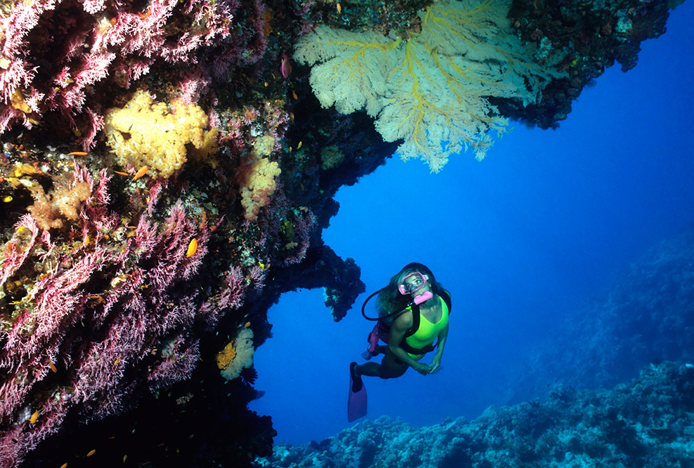 Scorpio: Great Barrier Reef, Australia